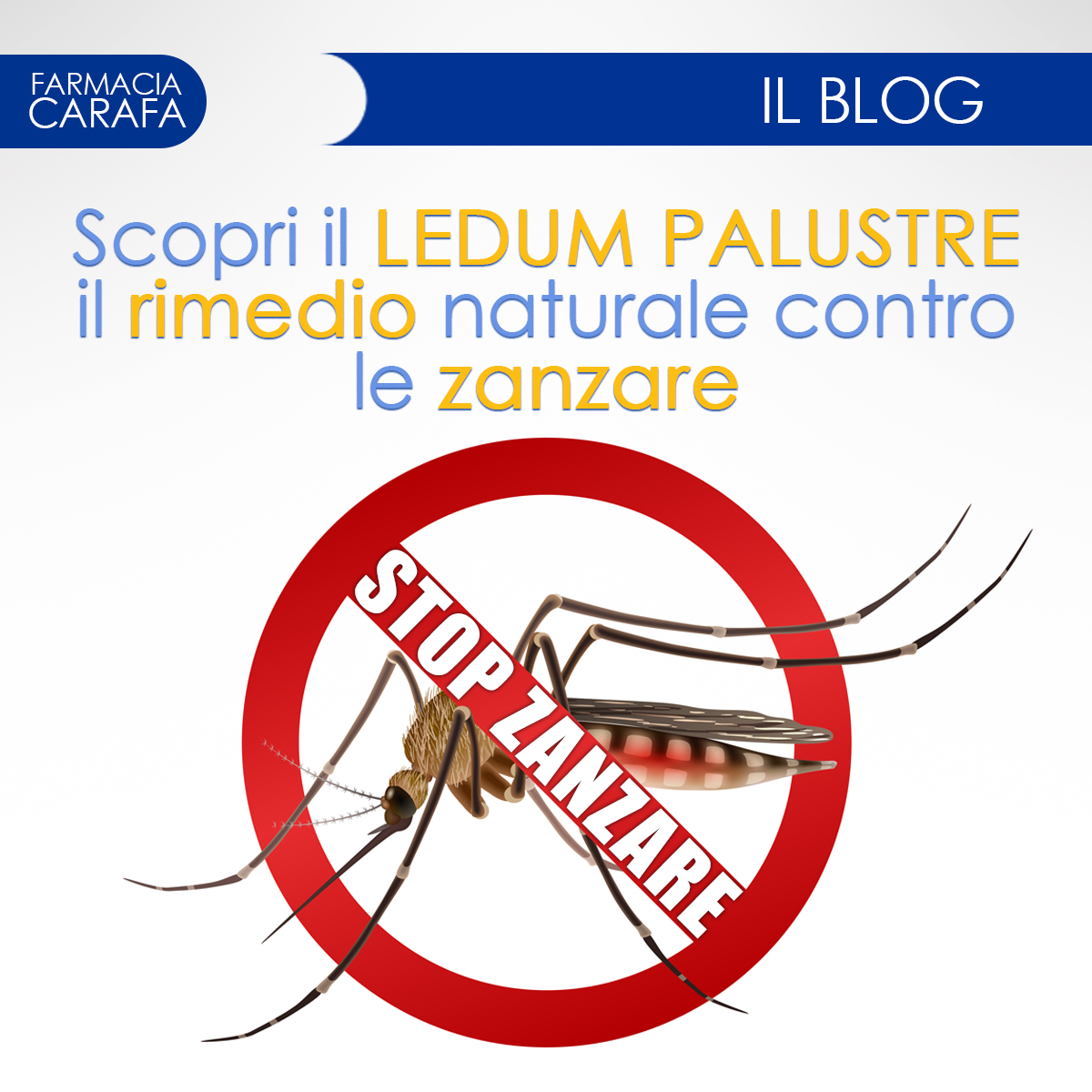 STOP ZANZARE CON I RIMEDI NATURALI